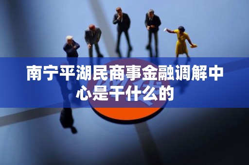南宁平湖民商事金融调解中心是干什么的