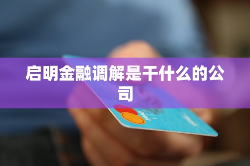 启明金融调解是干什么的公司