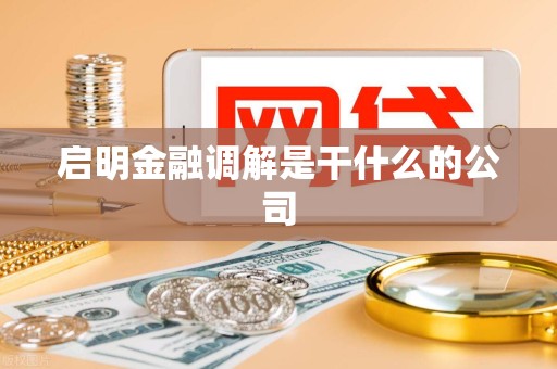 启明金融调解是干什么的公司