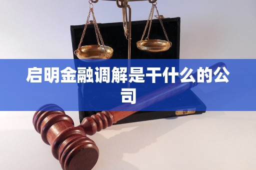 启明金融调解是干什么的公司