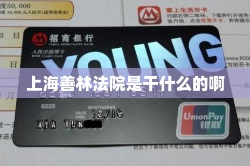 上海善林法院是干什么的啊 上海善林法院是干什么的啊