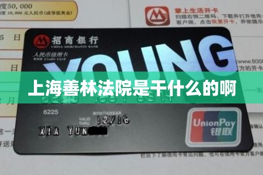 上海善林法院是干什么的啊