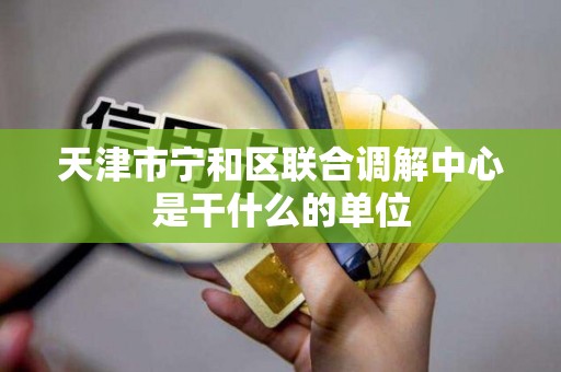 天津市宁和区联合调解中心是干什么的单位