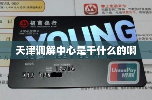 天津调解中心是干什么的啊 天津调解中心是干什么的啊