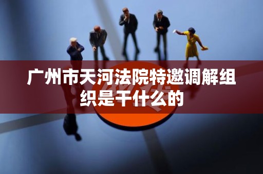 广州市天河法院特邀调解组织是干什么的