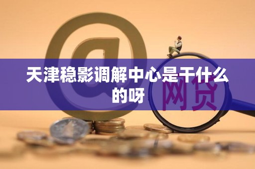 天津稳影调解中心是干什么的呀