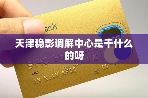 天津稳影调解中心是干什么的呀