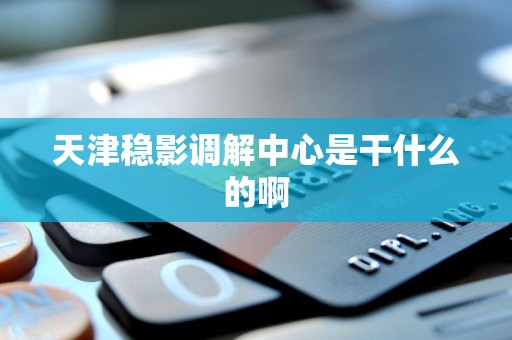 天津稳影调解中心是干什么的啊