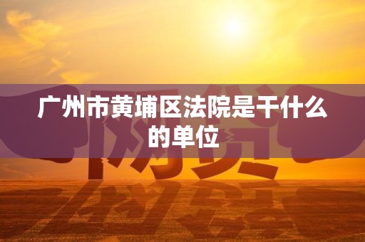 广州市黄埔区法院是干什么的单位