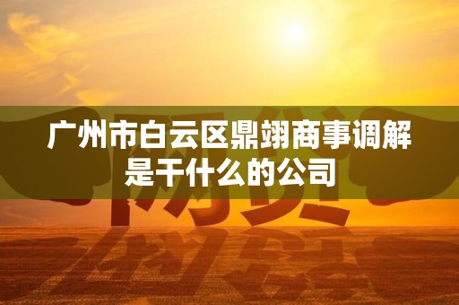 广州市白云区鼎翊商事调解是干什么的公司