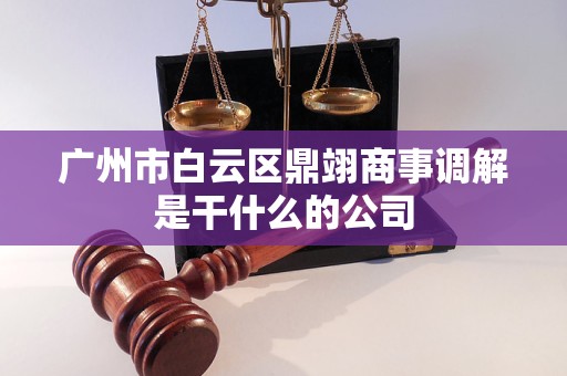 广州市白云区鼎翊商事调解是干什么的公司