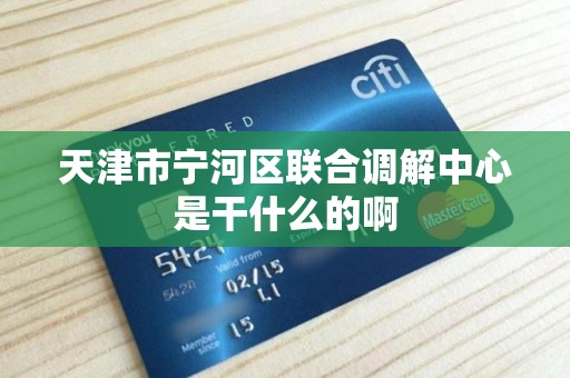 天津市宁河区联合调解中心是干什么的啊