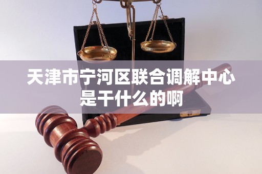 天津市宁河区联合调解中心是干什么的啊
