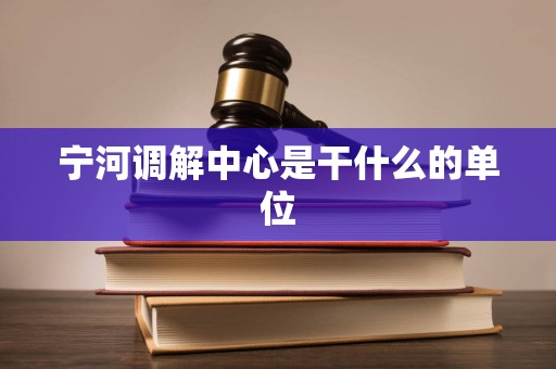 宁河调解中心是干什么的单位 宁河调解中心是干什么的单位