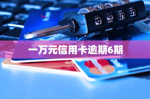 一万元信用卡逾期6期