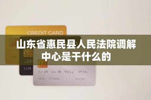 山东省惠民县人民法院调解中心是干什么的