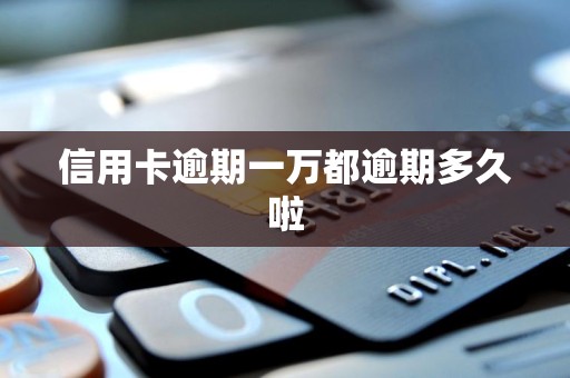 信用卡逾期一万都逾期多久啦