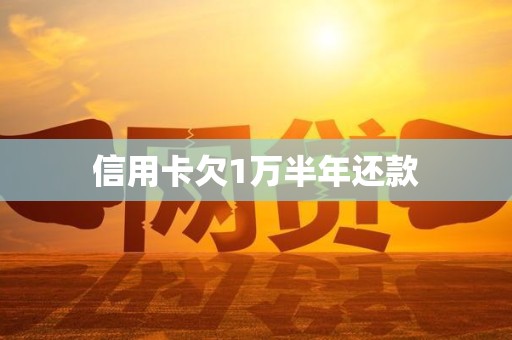 信用卡欠1万半年还款