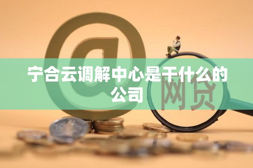 宁合云调解中心是干什么的公司 宁合云调解中心是干什么的公司