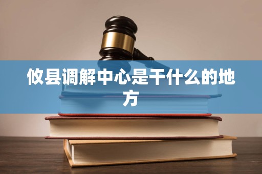 攸县调解中心是干什么的地方