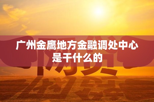 广州金鹰地方金融调处中心是干什么的