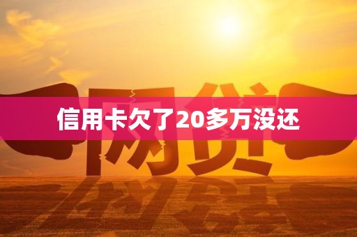信用卡欠了20多万没还 信用卡欠了20多万没还