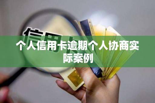 个人信用卡逾期个人协商实际案例 个人信用卡逾期个人协商实际案例