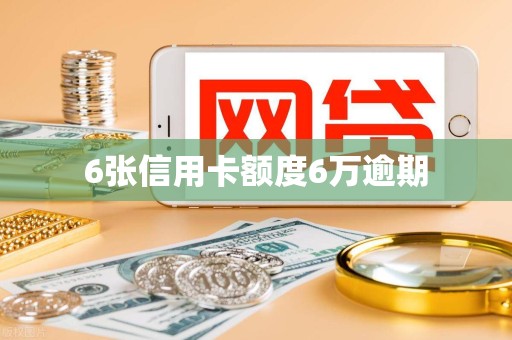 6张信用卡额度6万逾期