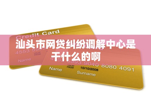 汕头市网贷纠纷调解中心是干什么的啊