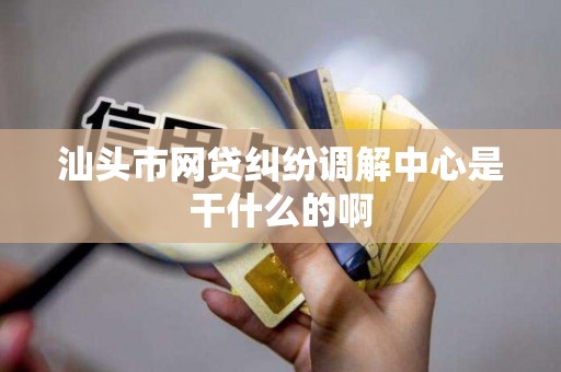 汕头市网贷纠纷调解中心是干什么的啊