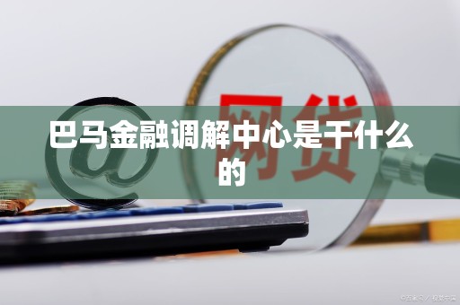 巴马金融调解中心是干什么的 巴马金融调解中心是干什么的