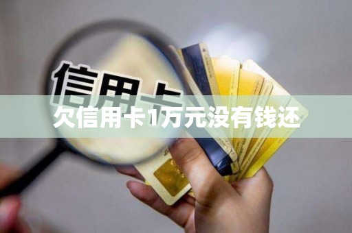 欠信用卡1万元没有钱还