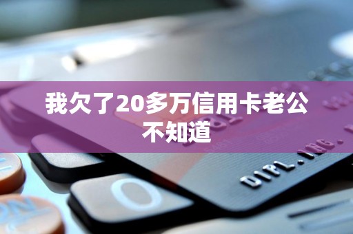 我欠了20多万信用卡老公不知道 我欠了20多万信用卡老公不知道