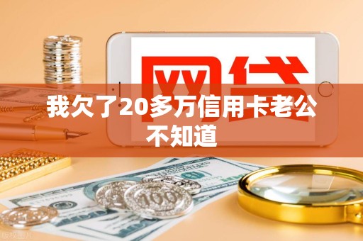 我欠了20多万信用卡老公不知道 我欠了20多万信用卡老公不知道