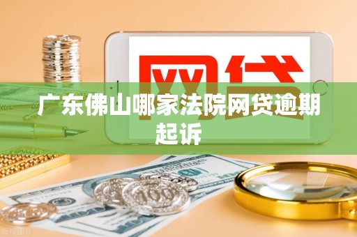 广东佛山哪家法院网贷逾期起诉 广东佛山哪家法院网贷逾期起诉