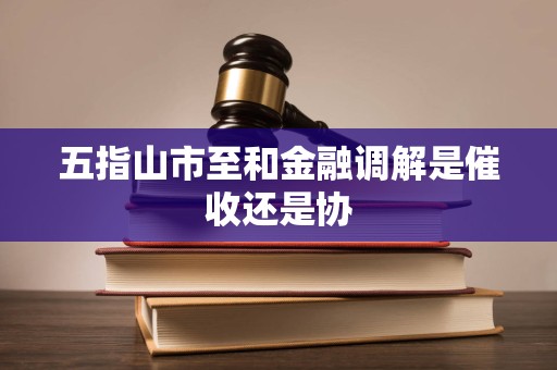 五指山市至和金融调解是催收还是协