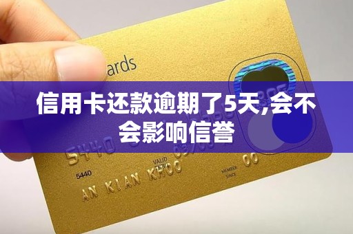 信用卡还款逾期了5天,会不会影响信誉