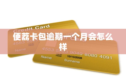 便荔卡包逾期一个月会怎么样 便荔卡包逾期一个月会怎么样