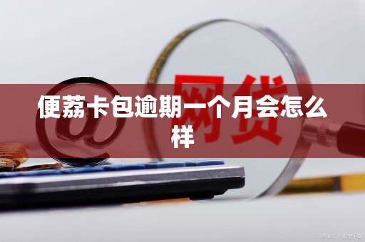 便荔卡包逾期一个月会怎么样 便荔卡包逾期一个月会怎么样