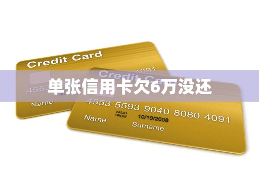 单张信用卡欠6万没还