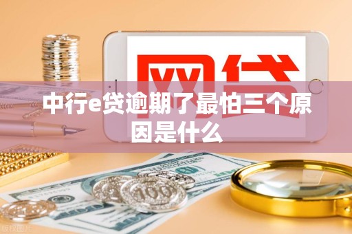 中行e贷逾期了最怕三个原因是什么 中行e贷逾期了最怕三个原因是什么