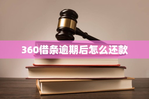 360借条逾期后怎么还款