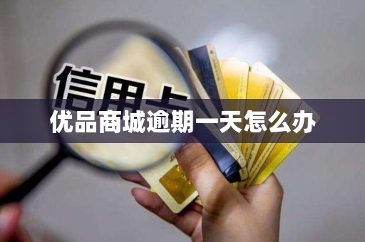 优品商城逾期一天怎么办