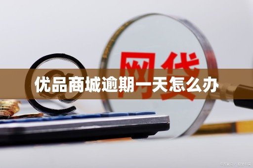 优品商城逾期一天怎么办