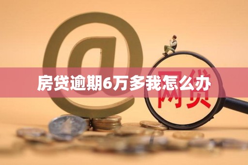 房贷逾期6万多我怎么办