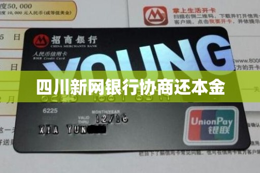 四川新网银行协商还本金