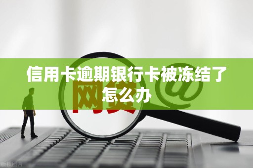 信用卡逾期银行卡被冻结了怎么办 信用卡逾期银行卡被冻结了怎么办