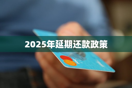 2025年延期还款政策 2025年延期还款政策