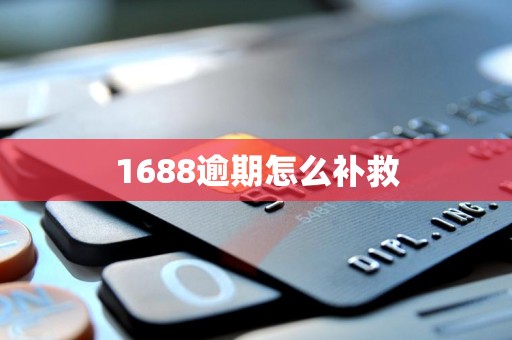 1688逾期怎么补救