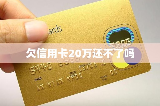 欠信用卡20万还不了吗 欠信用卡20万还不了吗